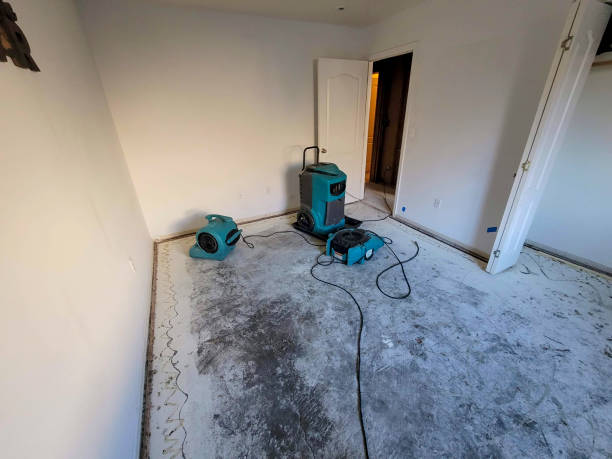 Best Sewage cleanup and water damage restoration  in Vadnais Heights, MN
