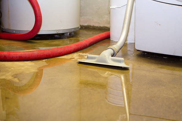 Best Basement water damage restoration  in Vadnais Heights, MN