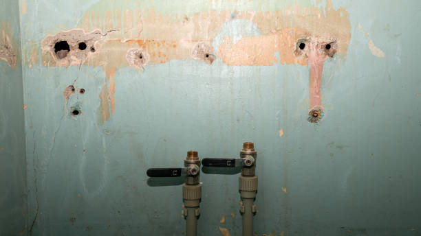 Best Flooded house restoration  in Vadnais Heights, MN