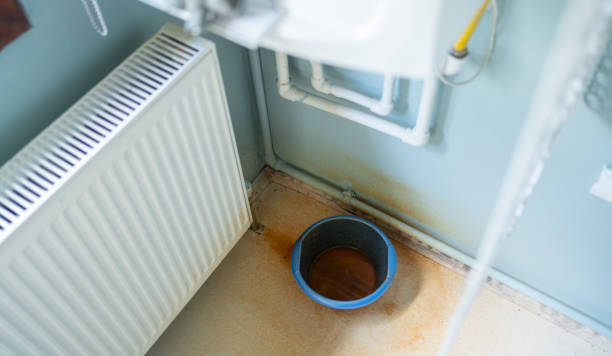Best Ceiling water damage repair  in Vadnais Heights, MN