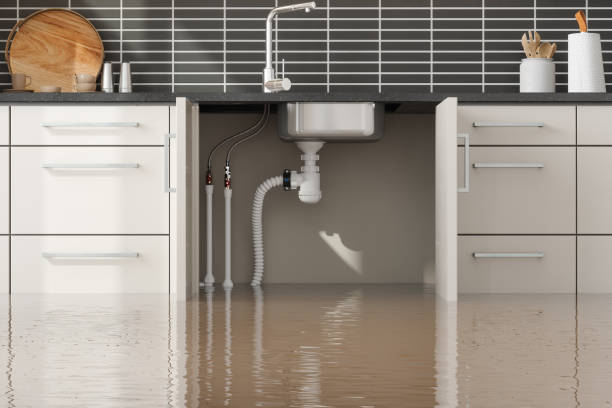 Best Water damage restoration near me  in Vadnais Heights, MN